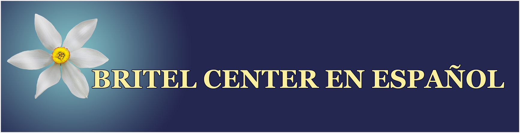 BRITEL CENTER – A Nonprofit Organization